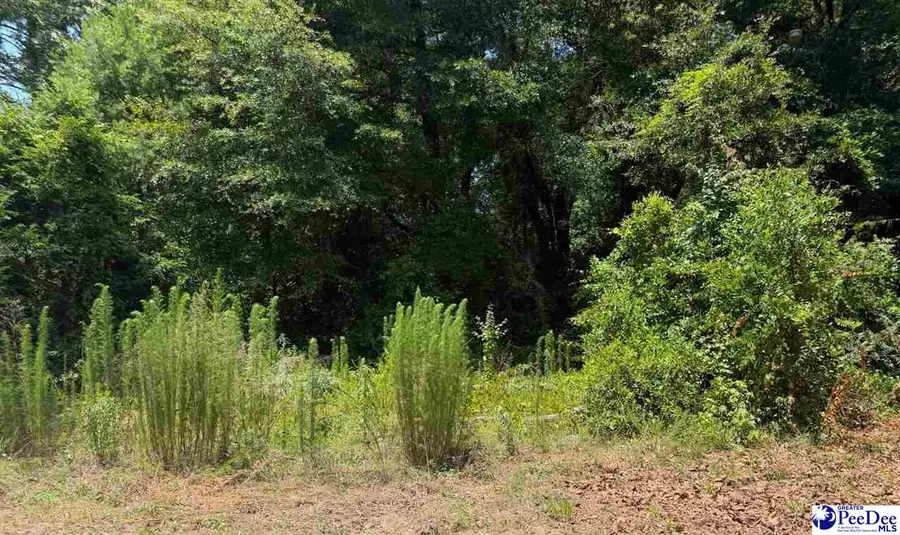 6739 E National Cemetery Rd, Florence, SC 29506-5728 - #2
