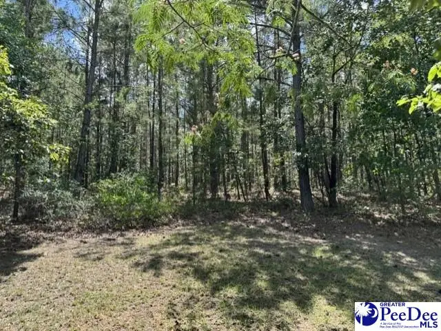 Wild Spring Road, Hartsville, SC 29550-0000 - #1