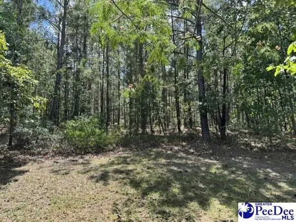 Wild Spring Road, Hartsville, SC 29550-0000