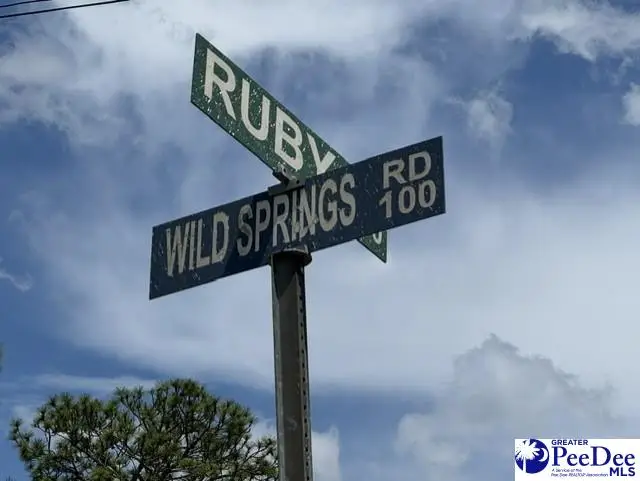 Wild Spring Road, Hartsville, SC 29550-0000 - #2