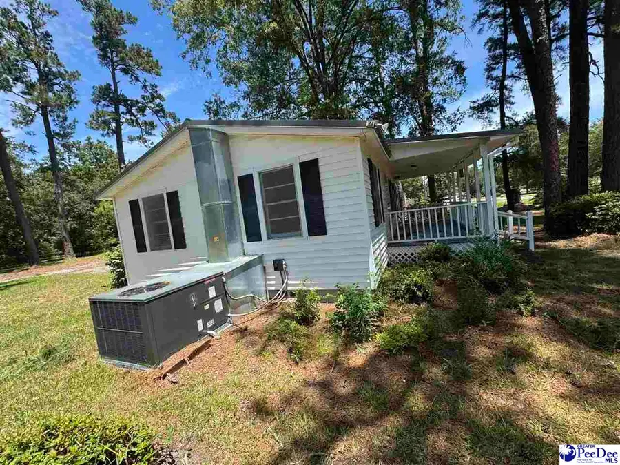 1341 Allison Landing Rd, Johnsonville, SC 29555 - #2