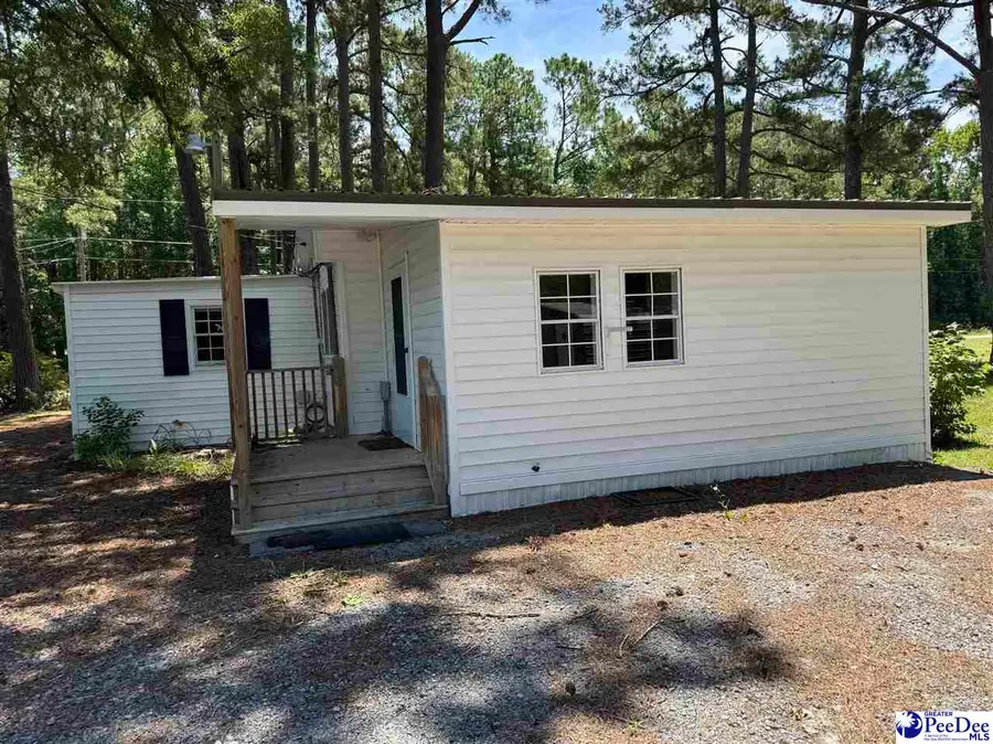 1341 Allison Landing Rd, Johnsonville, SC 29555 - #3