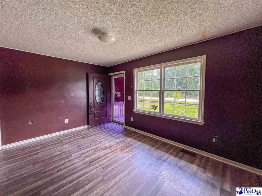 140 Magnolia Dr, Hemingway, SC 29554 - #3