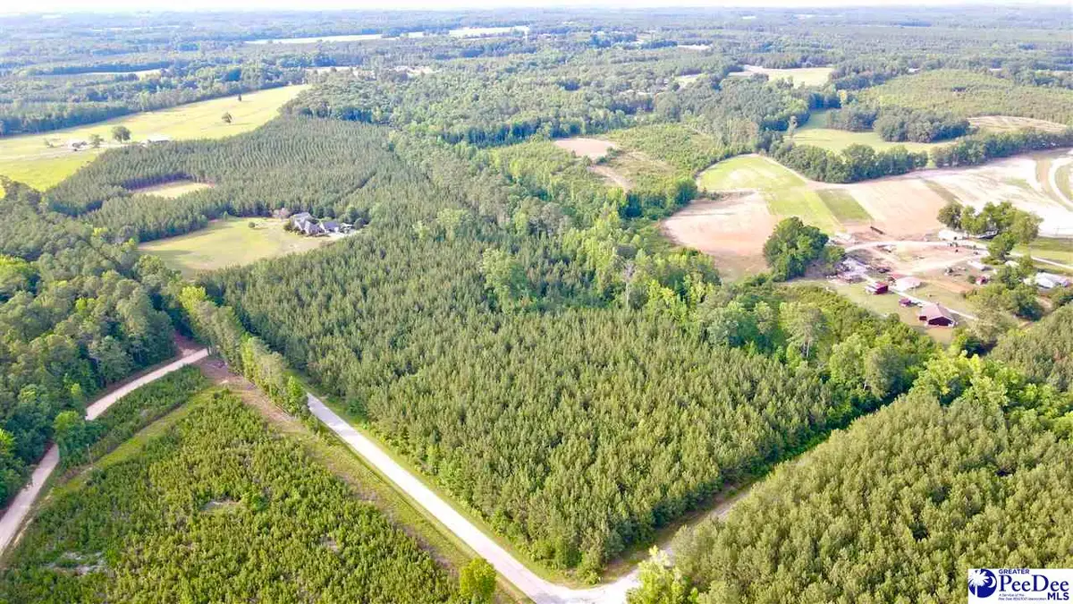 TBD W Jackson Road, Chesterfield, SC 29709 - #1