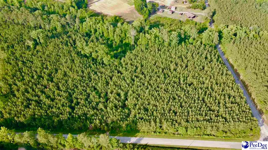 TBD W Jackson Road, Chesterfield, SC 29709 - #2