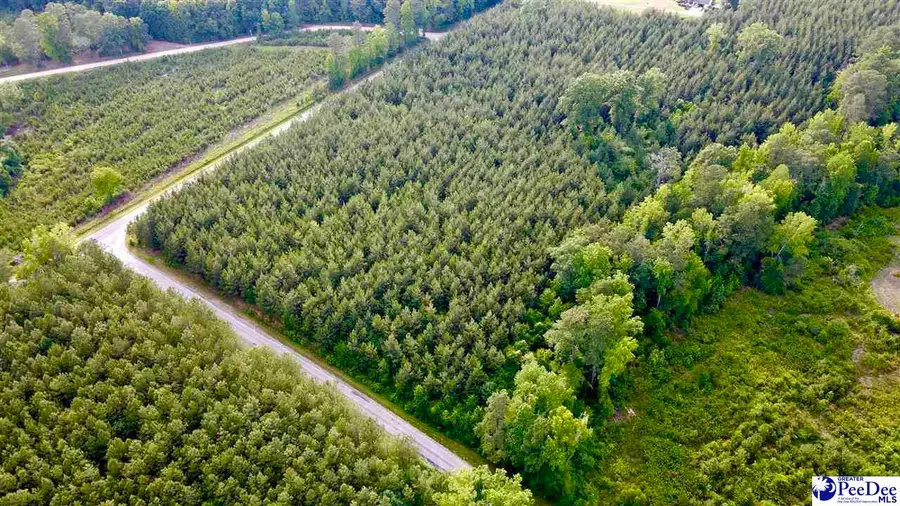 TBD W Jackson Road, Chesterfield, SC 29709 - #3