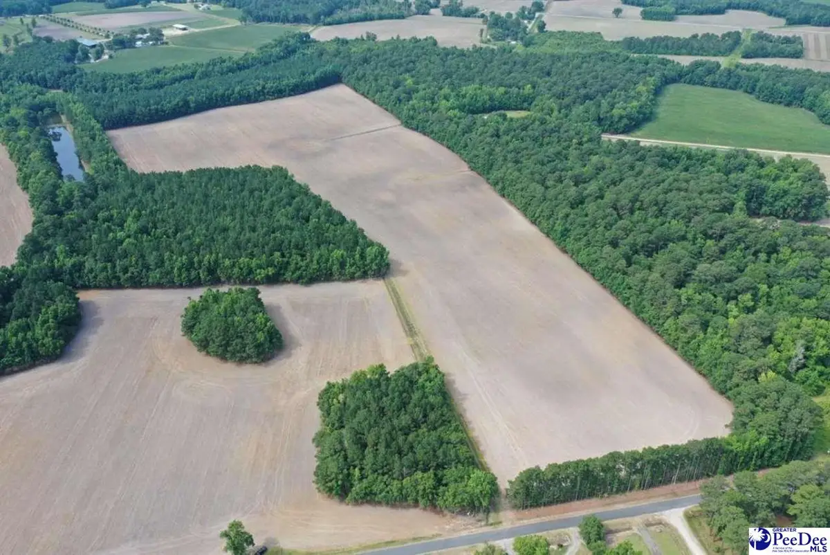 1002 Sam Lee Road, Scranton, SC 29591-5445 - #1