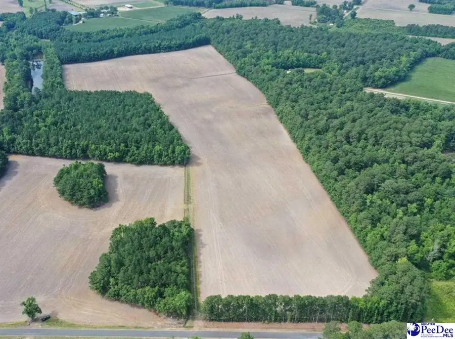 1002 Sam Lee Road, Scranton, SC 29591-5445 - #2