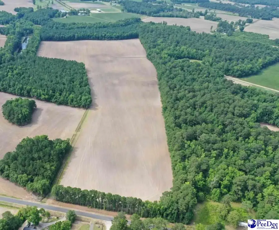 1002 Sam Lee Road, Scranton, SC 29591-5445 - #3