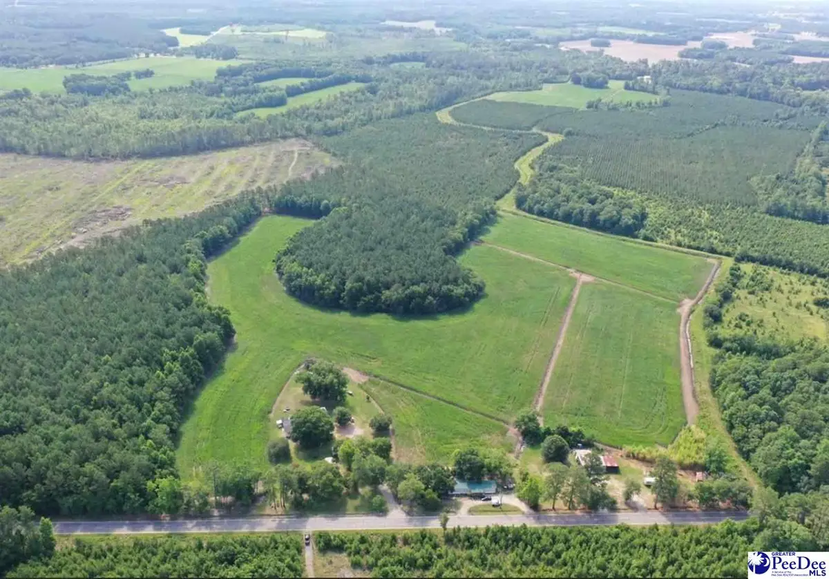 TBD N Matthews Road, Scranton, SC 29591-5460 - #1