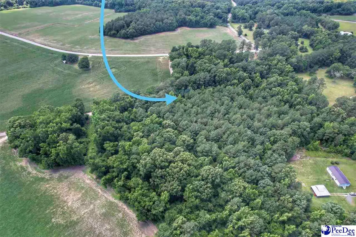 Lot 2 Meadow Court, Nichols, SC 29581 - #1