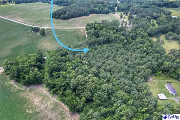 Lot 2 Meadow Court, Nichols, SC 29581