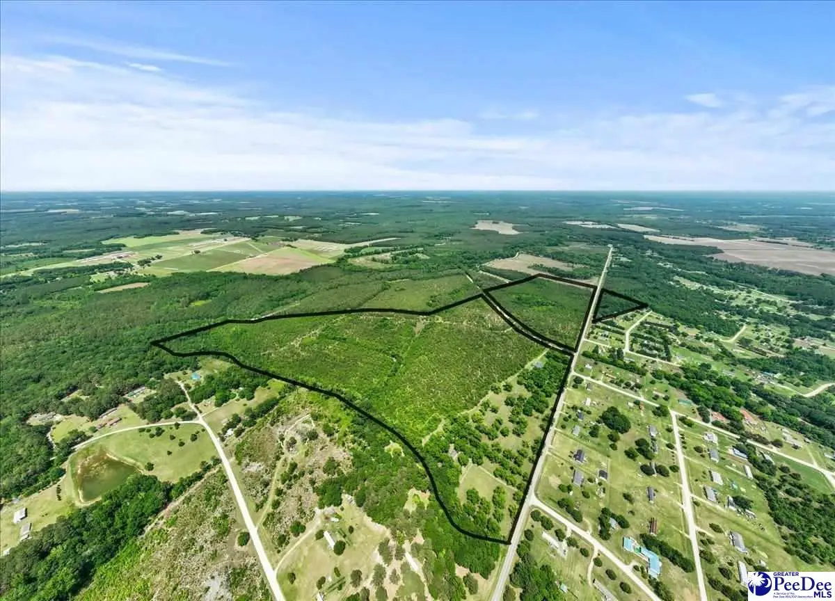 464 Lark Rd, Cheraw, SC 29520-0000 - #1