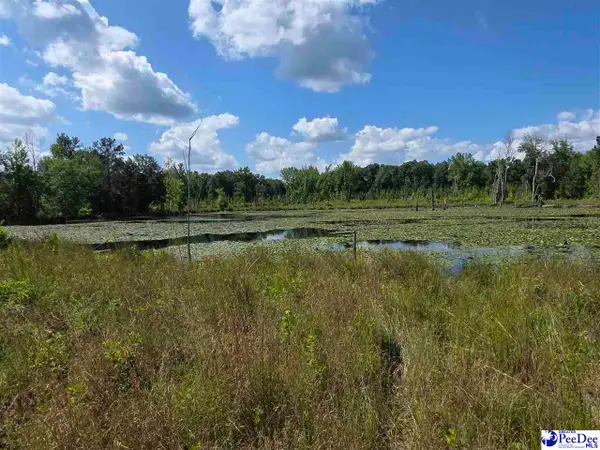 000000 Hillian Edwards Road, Cheraw, SC 29520