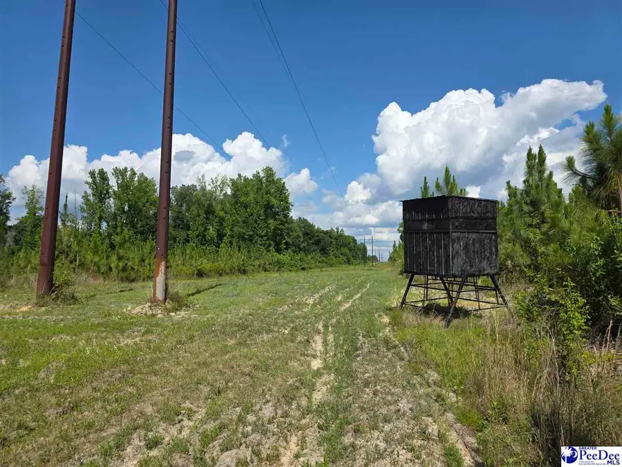 000000 Hillian Edwards Road, Cheraw, SC 29520 - #2