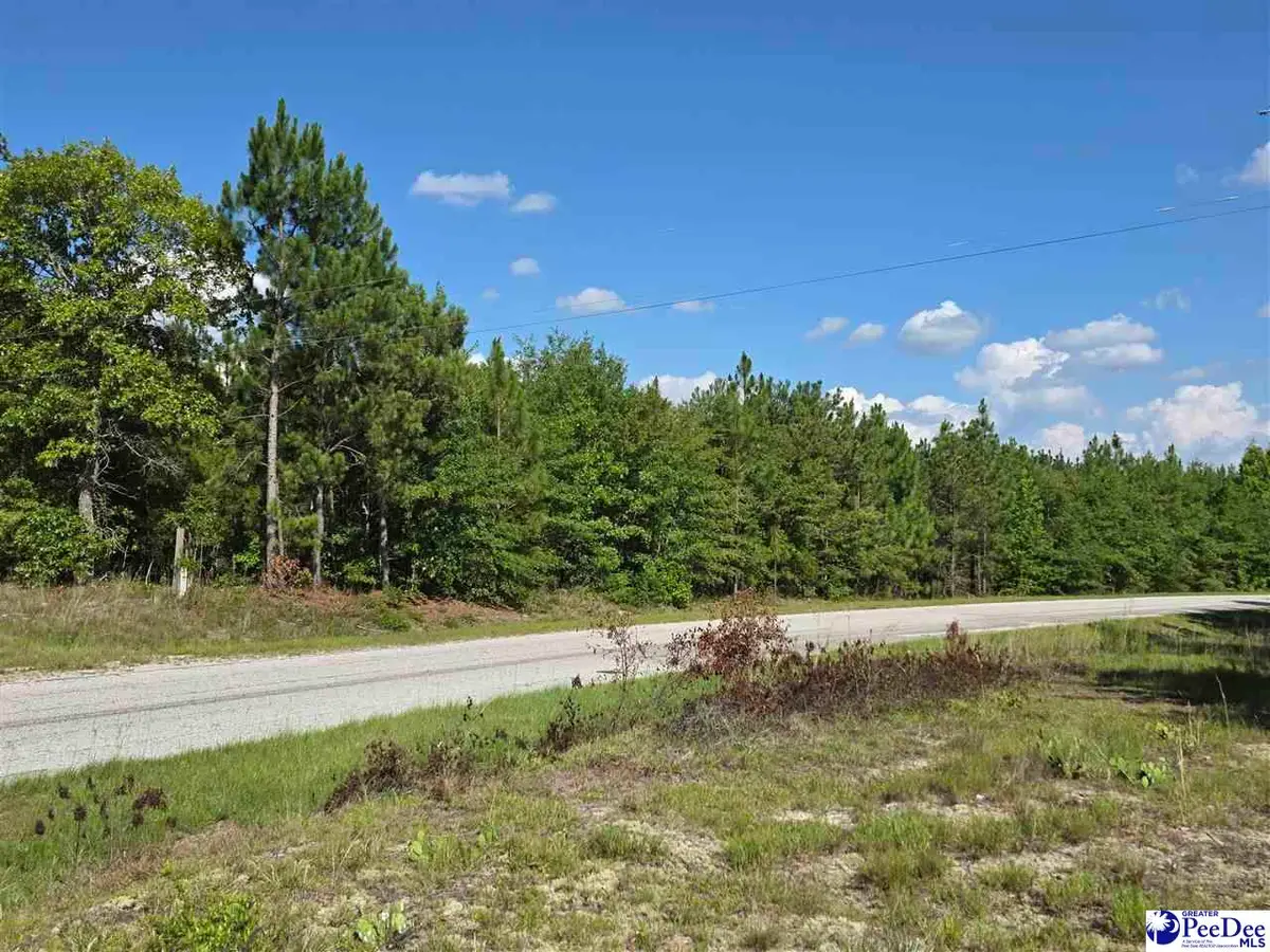 0000000 Black Creek Road, Floyds Crossroads, SC 29727 - #1