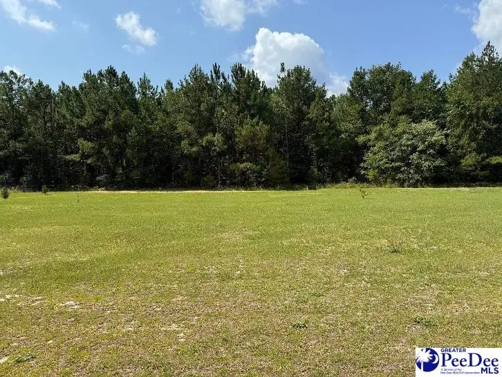 000 Winery, Patrick, SC 29584 - #2