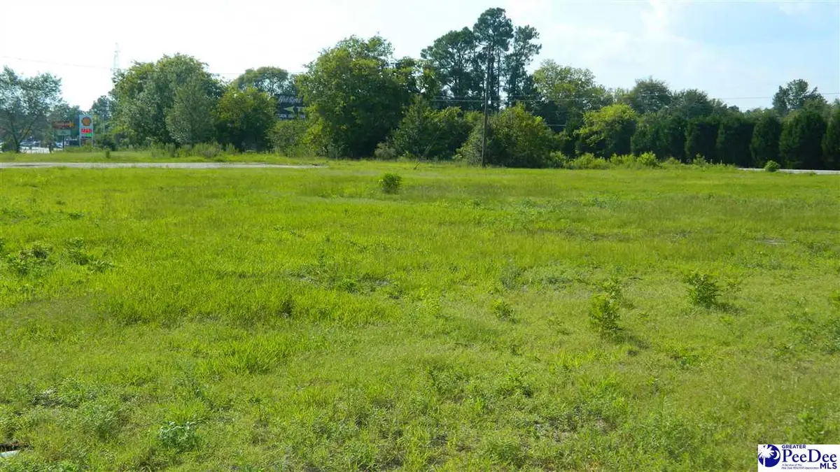 4603 W Highway 76, Marion, SC 29571 - #1