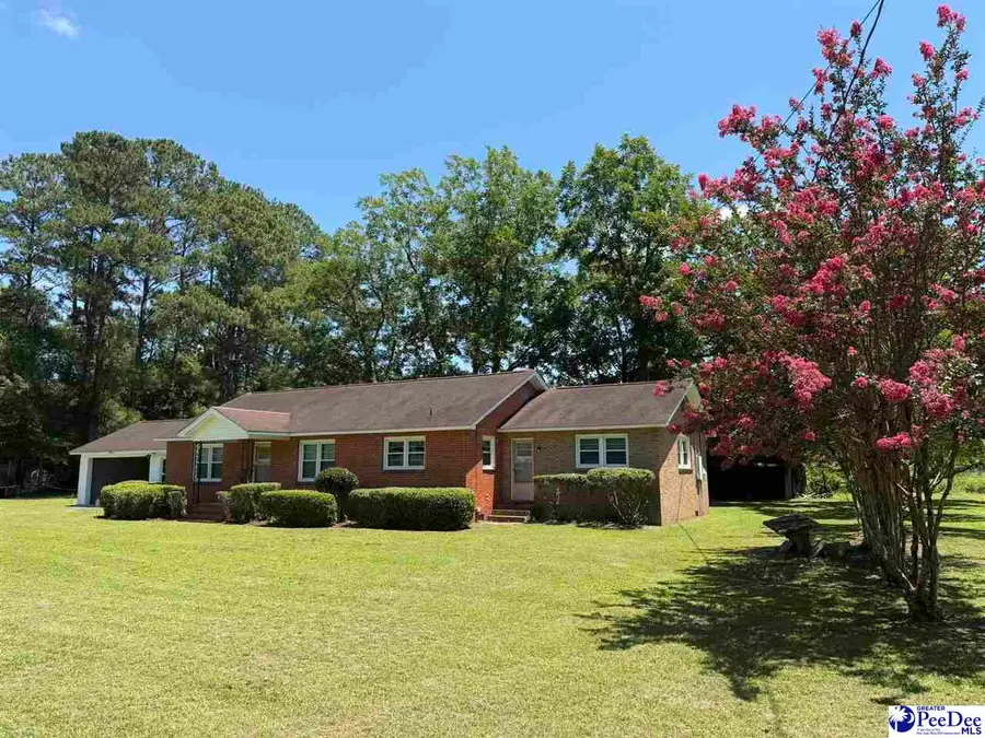 749 Henry St Ext, Latta, SC 29565 - #3