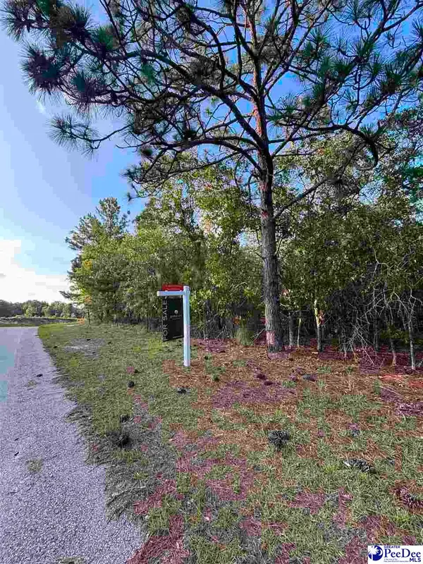 Ackerman Dr, Hartsville, SC 29550-9516