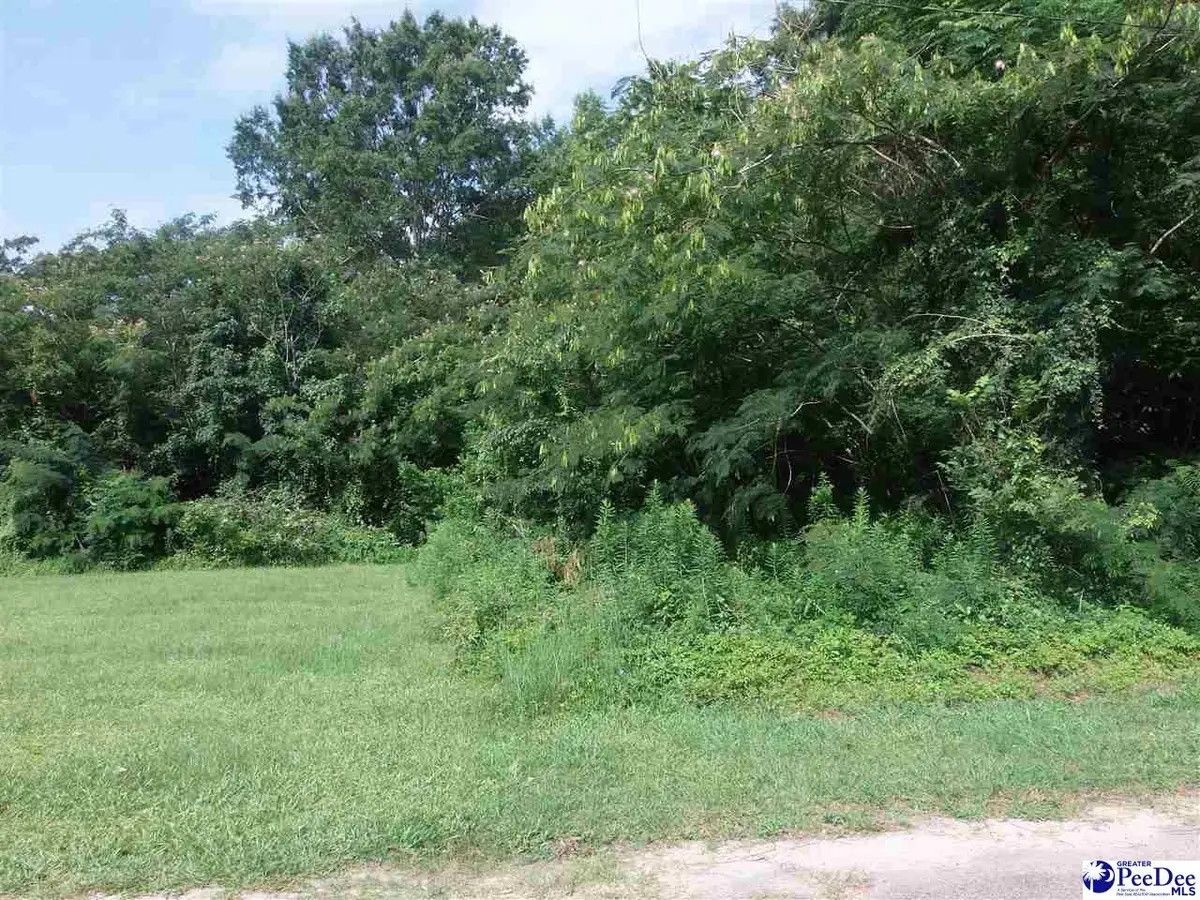 TBD Porter Street, Lamar, SC 29069 - #1