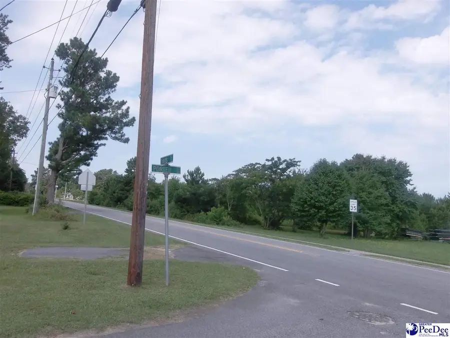 TBD Porter Street, Lamar, SC 29069 - #2