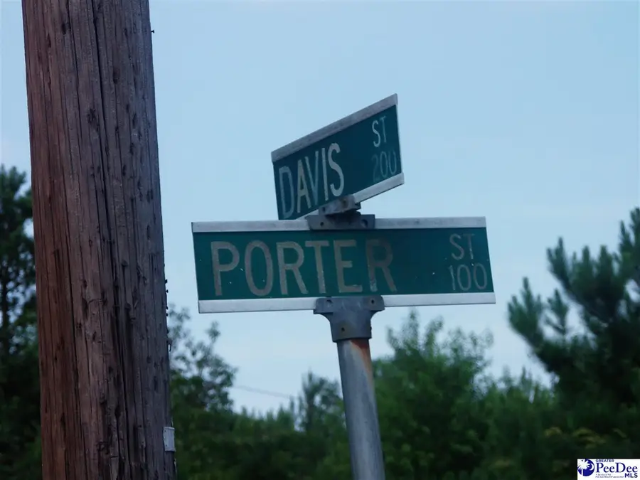 TBD Porter Street, Lamar, SC 29069 - #3