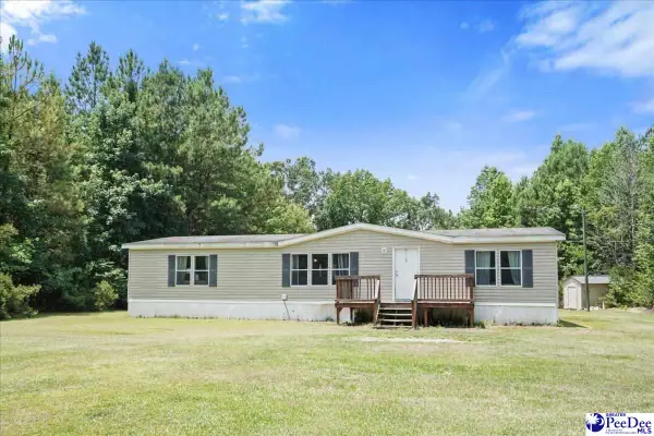 1120 Hawkins Landing Rd, Effingham, SC 29541