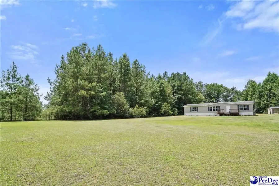 1120 Hawkins Landing Rd, Effingham, SC 29541 - #2