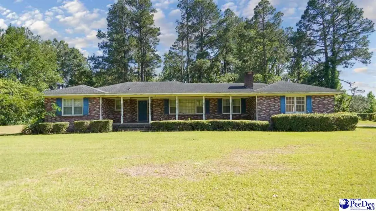 451 Dudley Rd, Latta, SC 29565 - #1