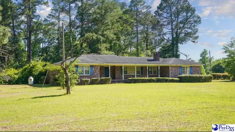 451 Dudley Rd, Latta, SC 29565 - #2