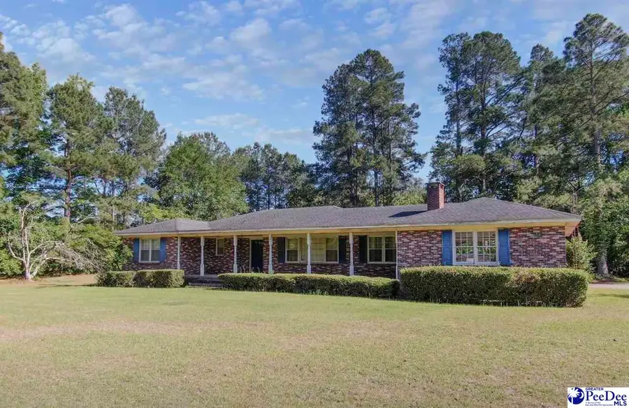 451 Dudley Rd, Latta, SC 29565 - #3