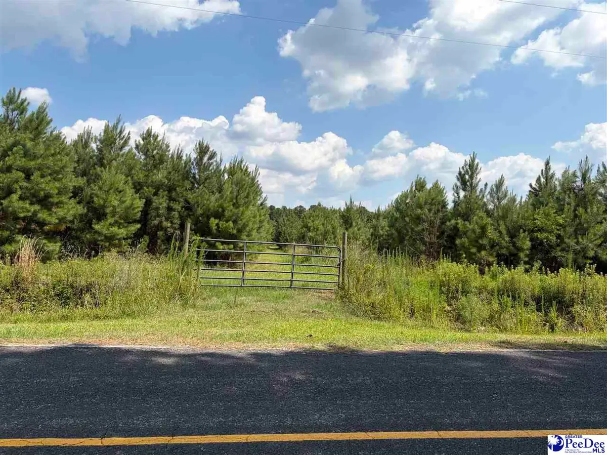TBD Highway 556, Scranton, SC 29591 - #1