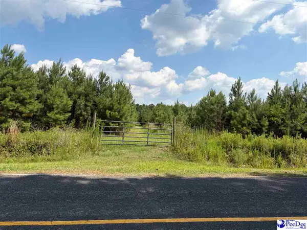 TBD Highway 556, Scranton, SC 29591