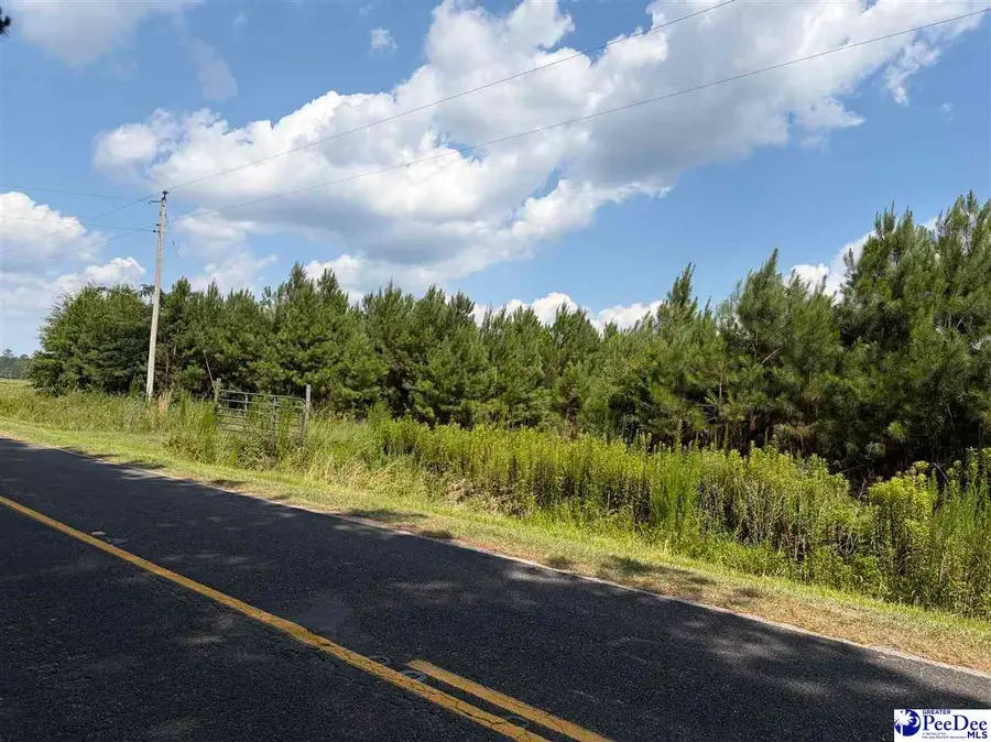 TBD Highway 556, Scranton, SC 29591 - #3