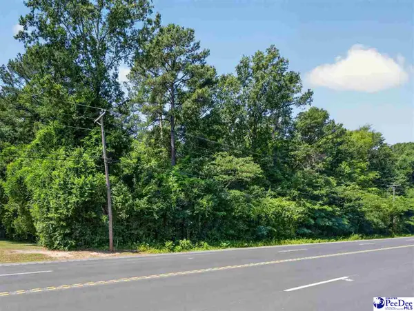 TBD Us Hwy.15 And 401-bypass W (lots 9,10,11,12,13,14), Bennettsville, SC 29512