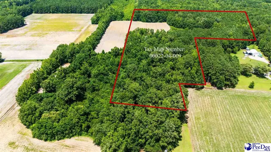 2529 S Cartersville Highway, Timmonsville, SC 29161 - #3