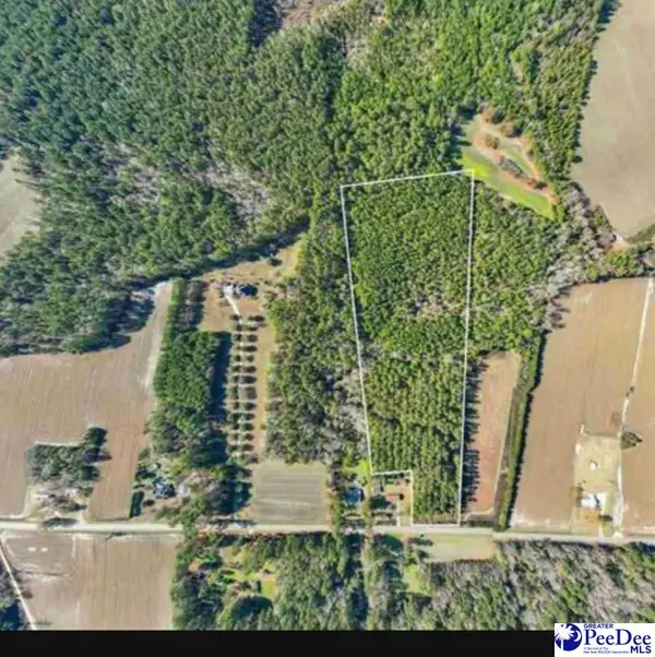 2315 Cale Yarborough Hwy, Timmonsville, SC 29161
