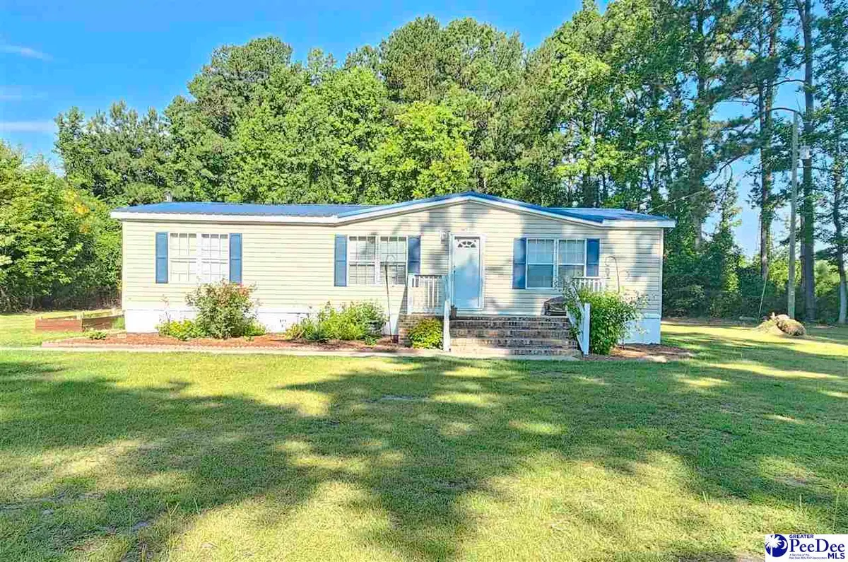 667 Higgins Road, Dillon, SC 29536 - #1
