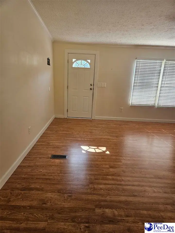 667 Higgins Road, Dillon, SC 29536 - #2