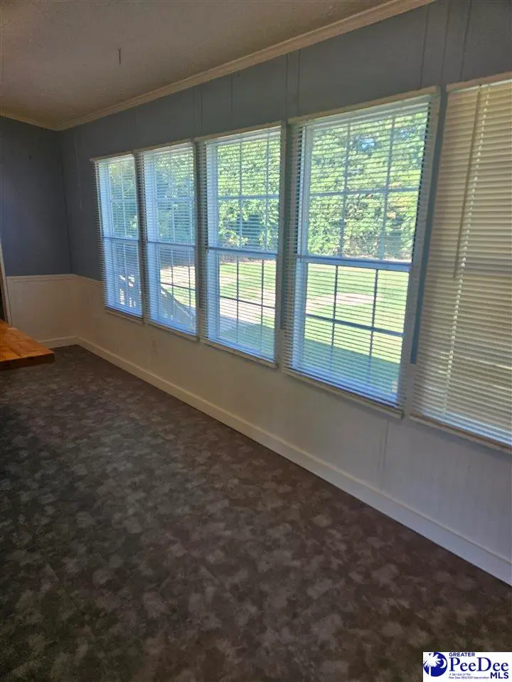 667 Higgins Road, Dillon, SC 29536 - #3