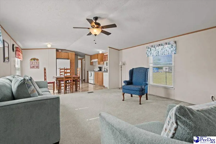 2251 Horseshoe Road, Pamplico, SC 29583 - #3