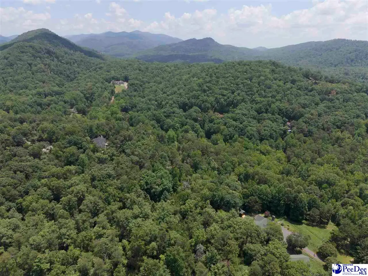 126 Valley Lake Trail, Travelers Rest, SC 29690 - #1