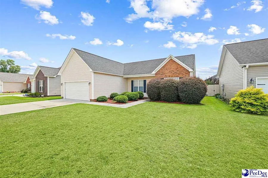 3022 Red Berry Circle, Effingham, SC 29541 - #3