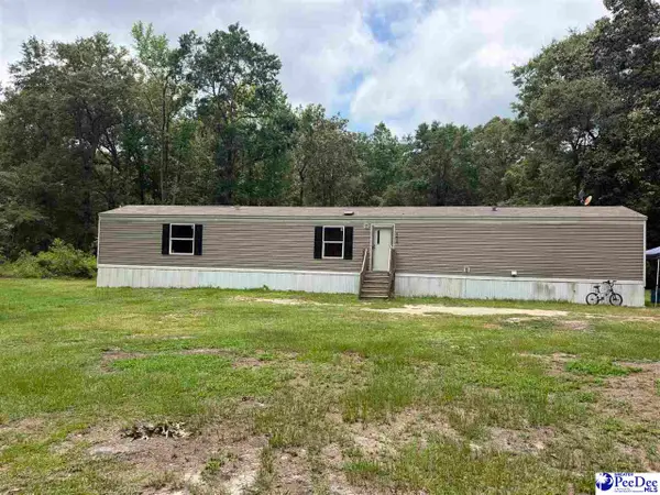 6909 Candy Buck Ln, Effingham, SC 29541