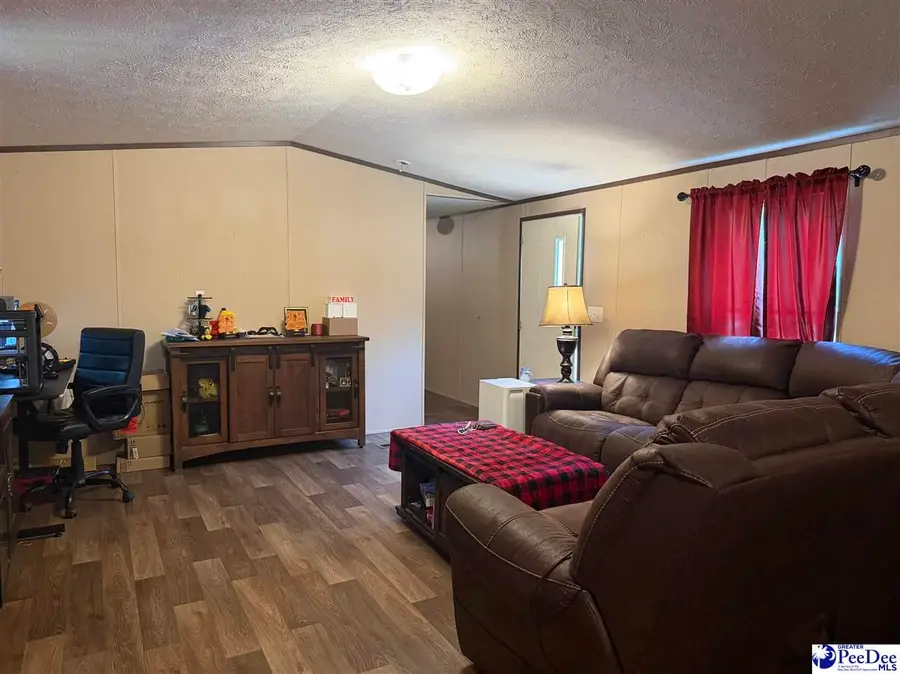 6909 Candy Buck Ln, Effingham, SC 29541 - #3