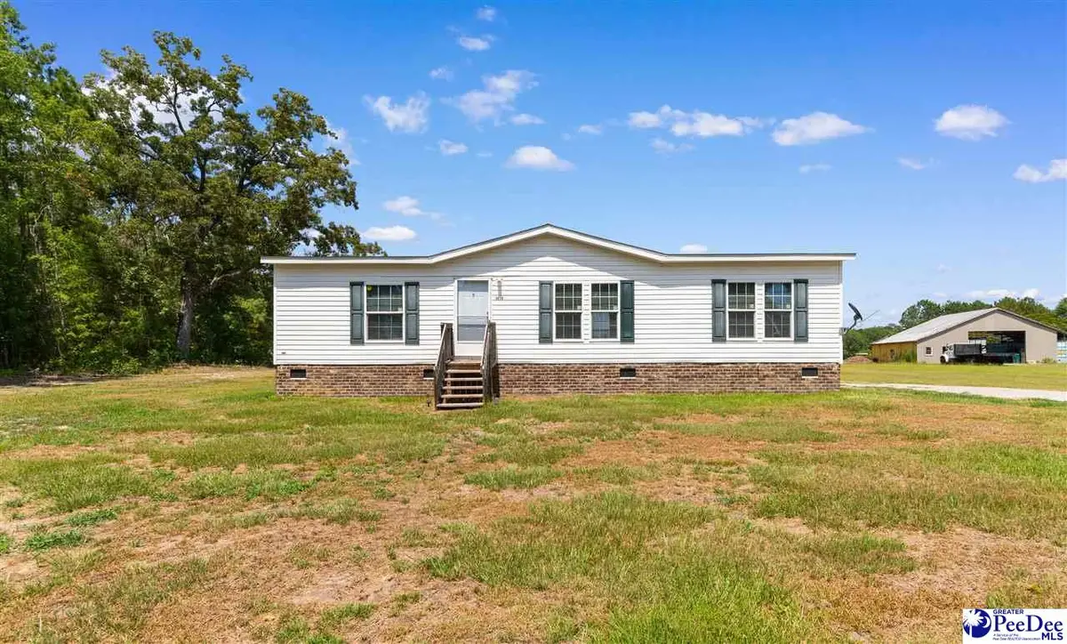 1010 Carrol Rd, Marion, SC 29571 - #1