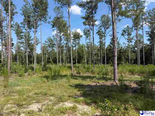 TBD Ebenezer Rd, Bennettsville, SC 29512