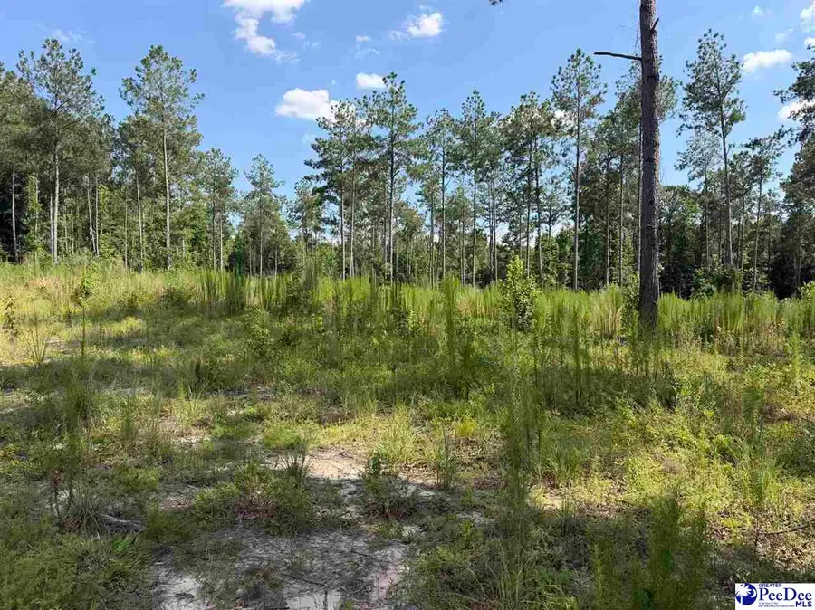 TBD Ebenezer Rd, Bennettsville, SC 29512 - #2