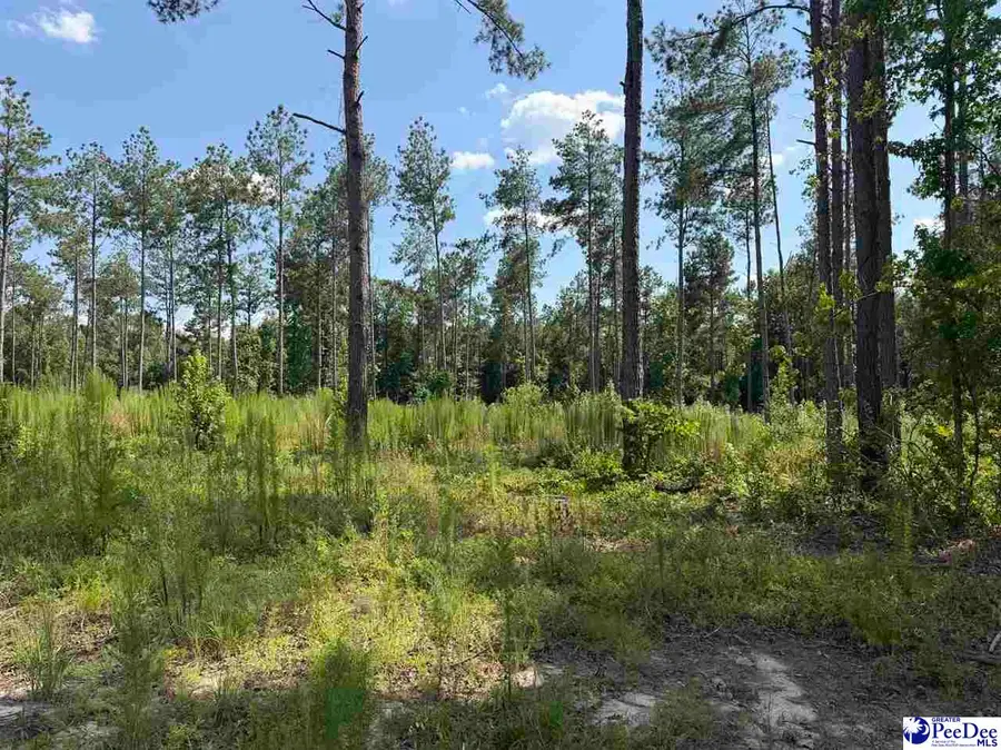 TBD Ebenezer Rd, Bennettsville, SC 29512 - #3
